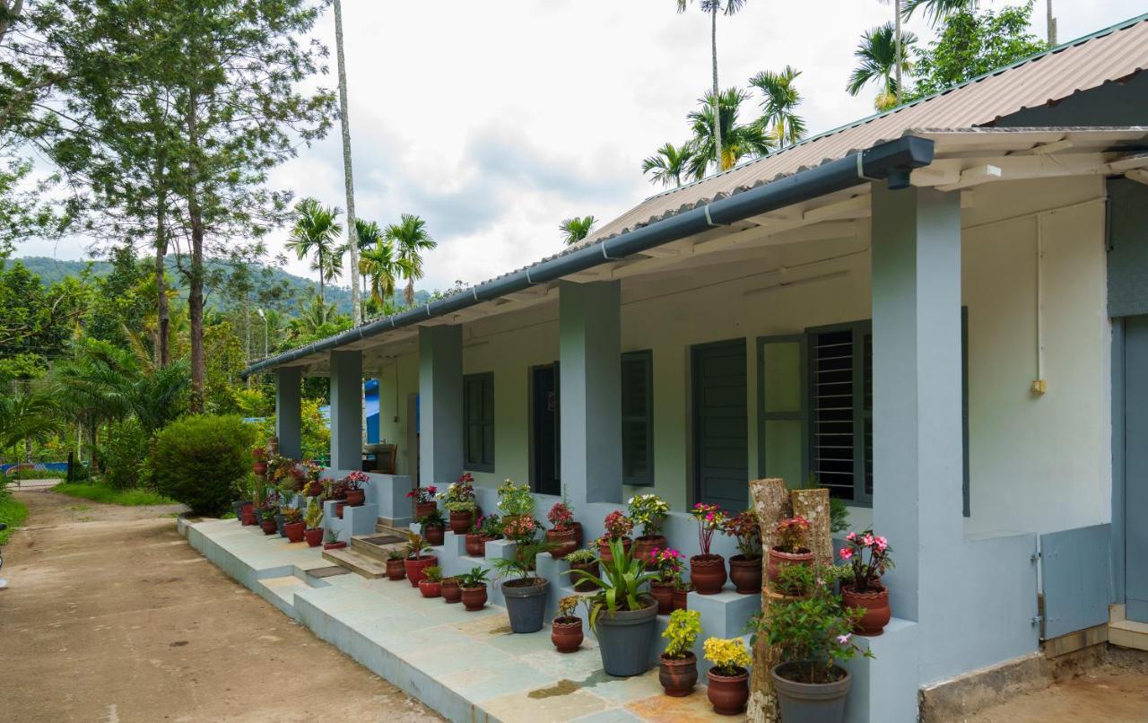 Mystic Trees, Kumily Thekkady Exterior foto