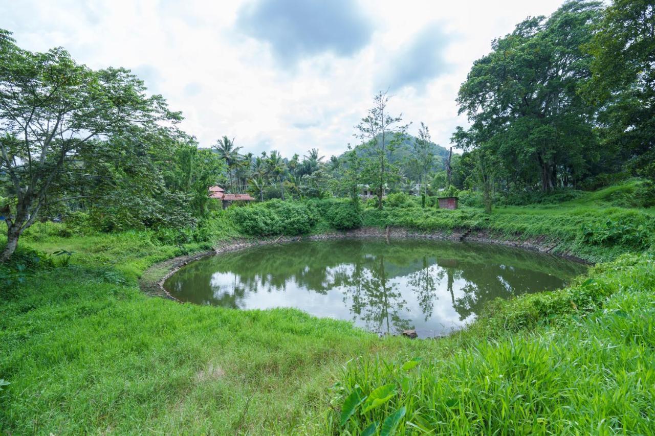 Mystic Trees, Kumily Thekkady Exterior foto